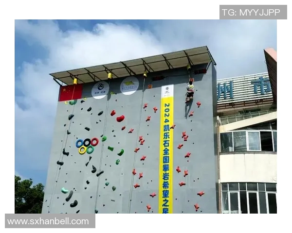 杭州攀岩队在世界攀岩锦标赛中的技术表现分析与点评